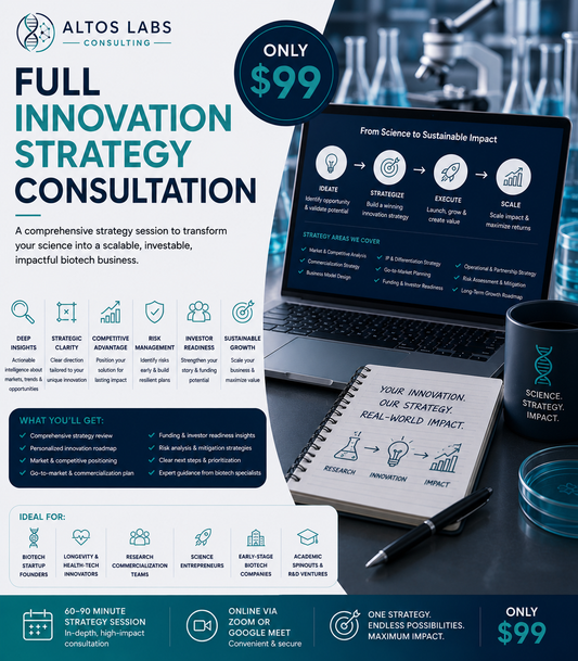 Full Innovation Strategy Consultation